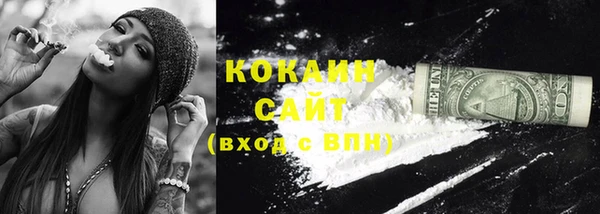 PSILOCYBIN Рославль