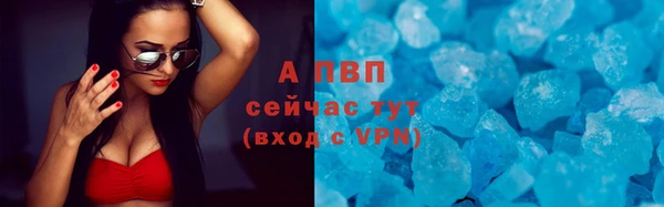 PSILOCYBIN Рославль