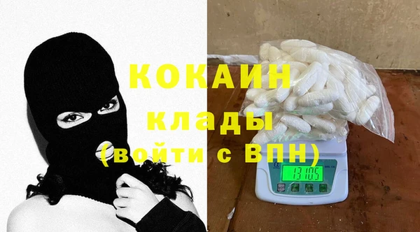 PSILOCYBIN Рославль