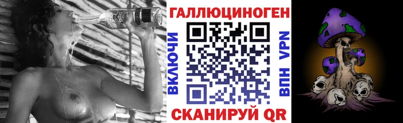 купить закладку  Абаза  Галлюциногенные грибы GOLDEN TEACHER 